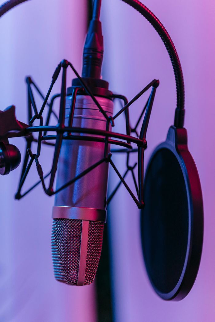 services-01 A detailed close-up of a studio microphone with pop filter, ideal for music and broadcasting themes.